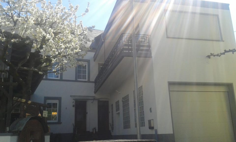 Balles Apartment in Cochem-Zell