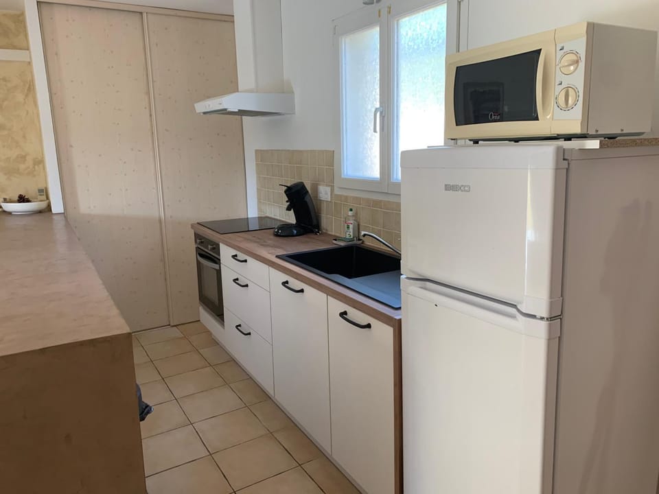Kitchen or kitchenette, dishwasher, minibar, pet friendly, stove