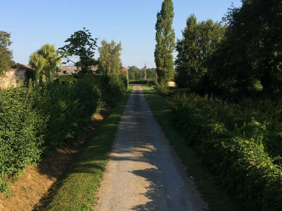 Le dragon dans Les Buis Bed and Breakfast in Nouvelle-Aquitaine