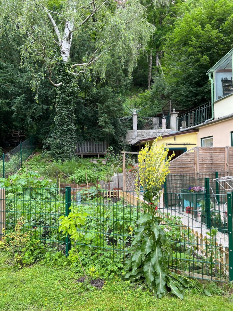 Garden, Garden view