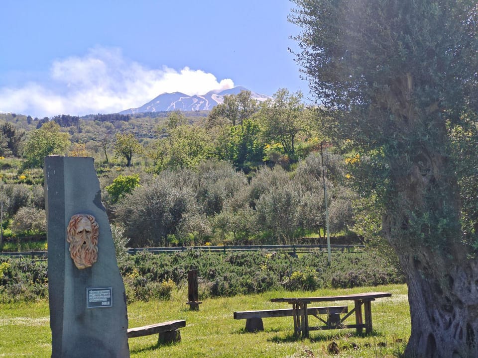 Natural landscape, Activities, View (from property/room)