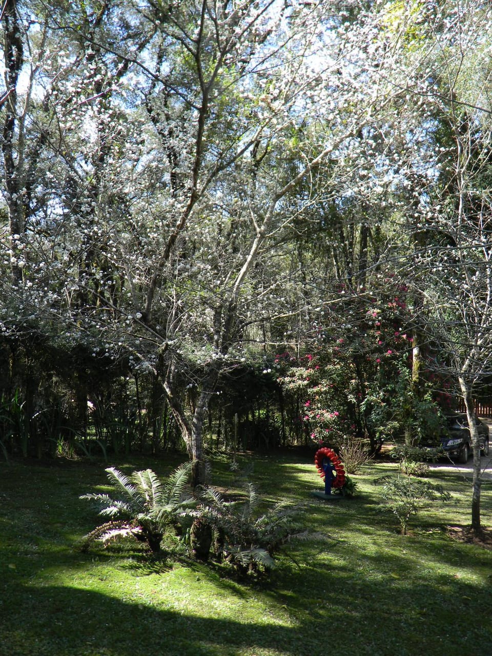 Recanto dos Kerr Chalet in Monte Verde