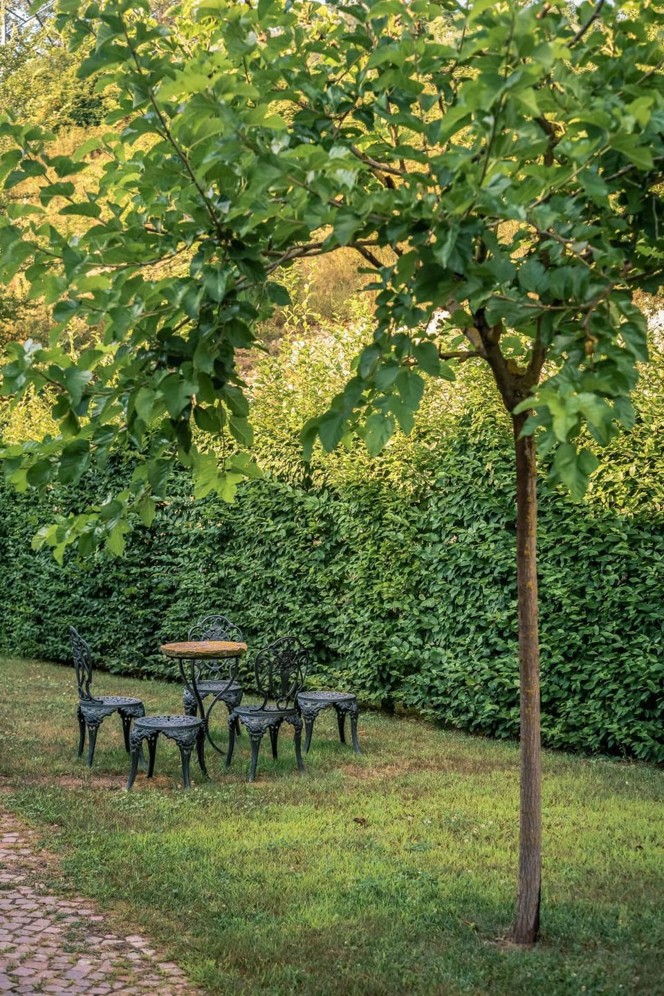 Agriturismo Tenuta Polledro Country House in Piedmont