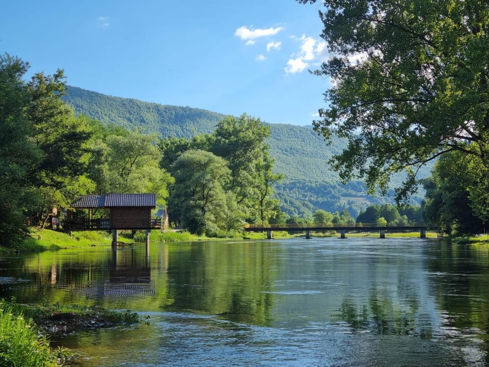 Natural landscape, River view