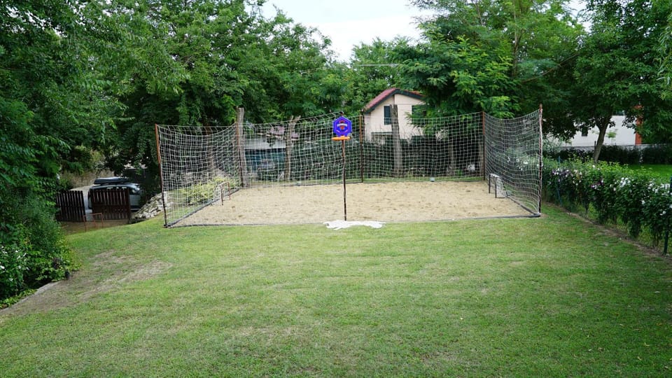 Activities, Garden, Garden
