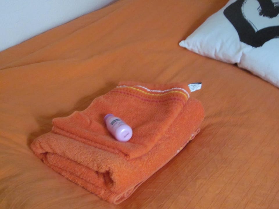 Ruhiges Gästezimmer Vacation rental in Winterthur