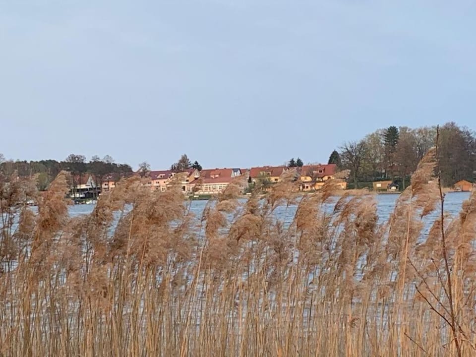 Neighbourhood, Natural landscape