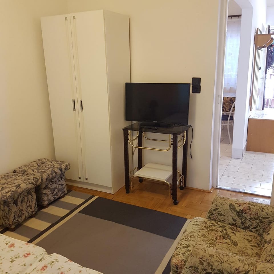 TV and multimedia
