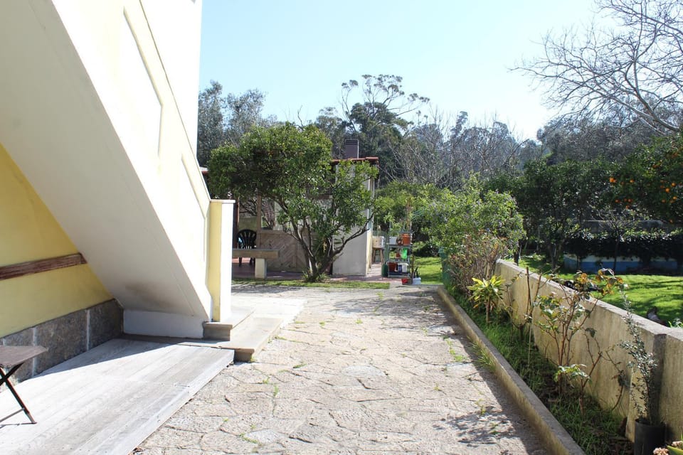 Garden, Garden view