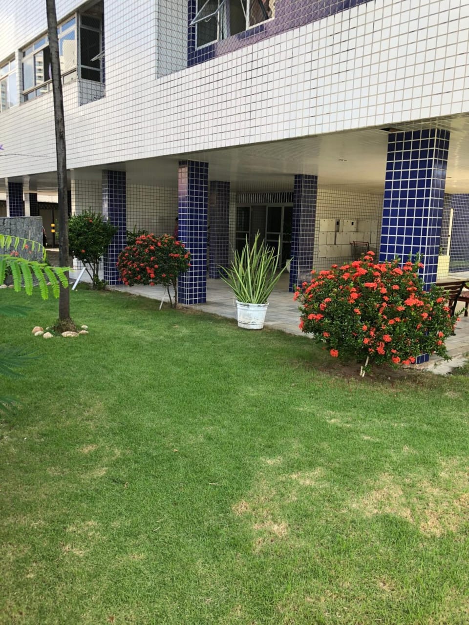 Patio, Garden