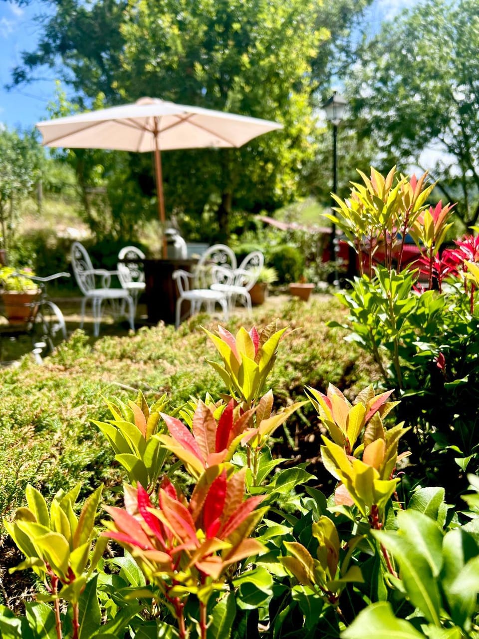 Garden view