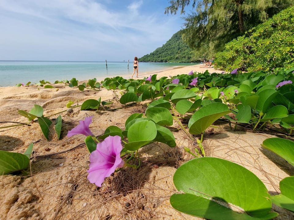 Beach, Sea view