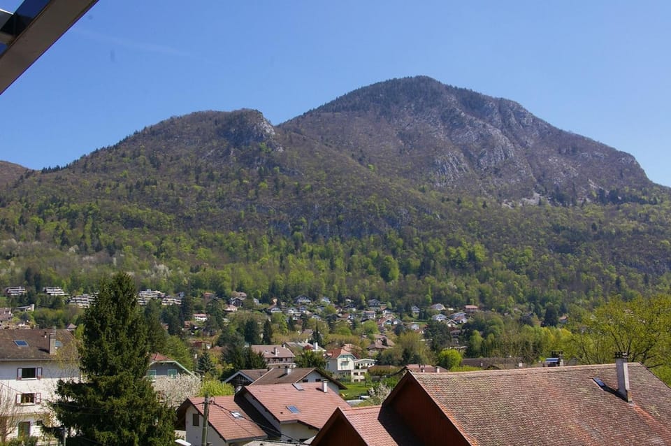Angel Services - Les Mouettes Apartment in Annecy