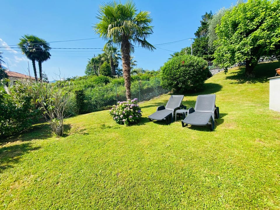 Day, Natural landscape, Garden, Garden view, sunbed