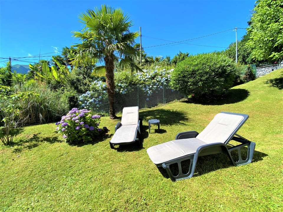 Patio, Garden, Garden, On site