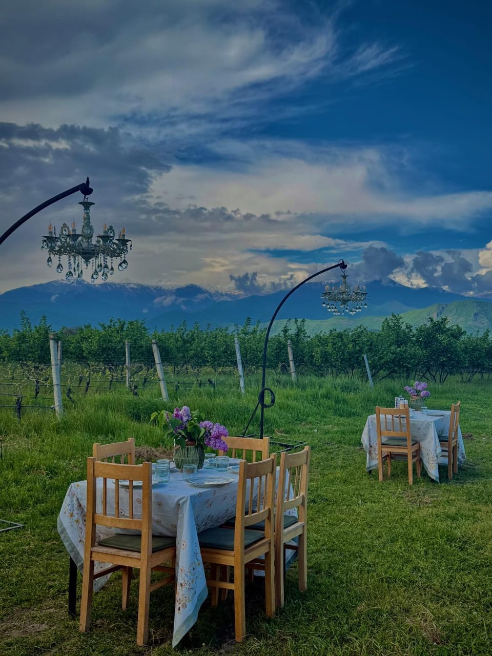 Mestvireni Villa in Georgia