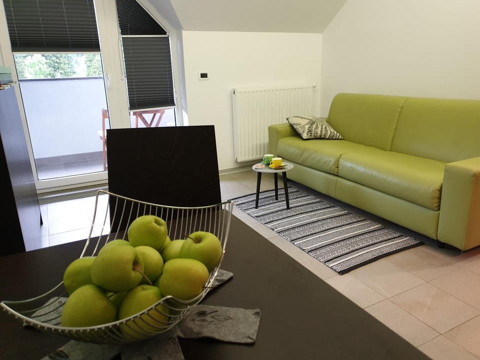 Apartma Kurji vrh - Chicken top Apartment in Friuli-Venezia Giulia