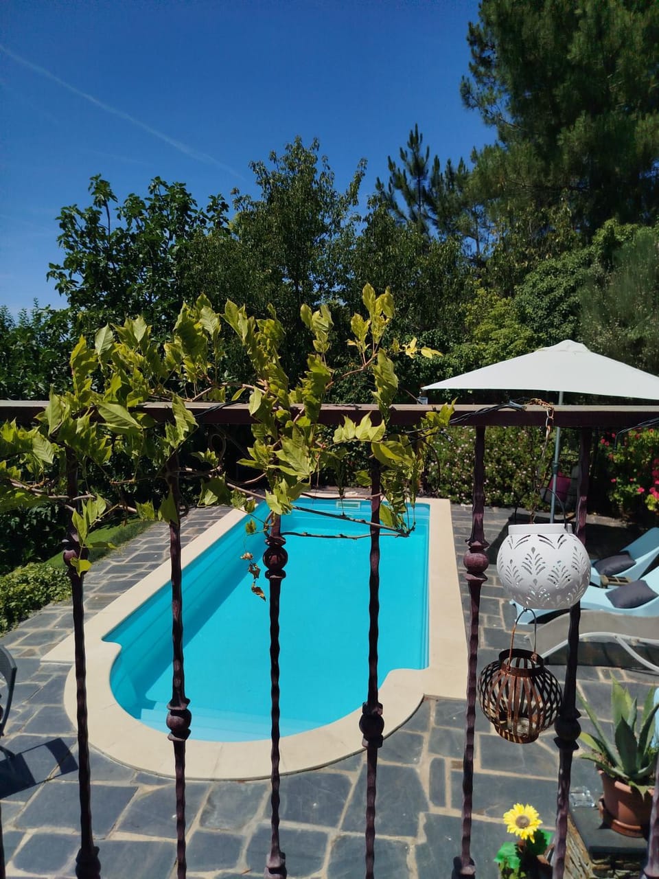 Bela Vista Alqueve - traditional stone house and private pool House in Coimbra District, Portugal