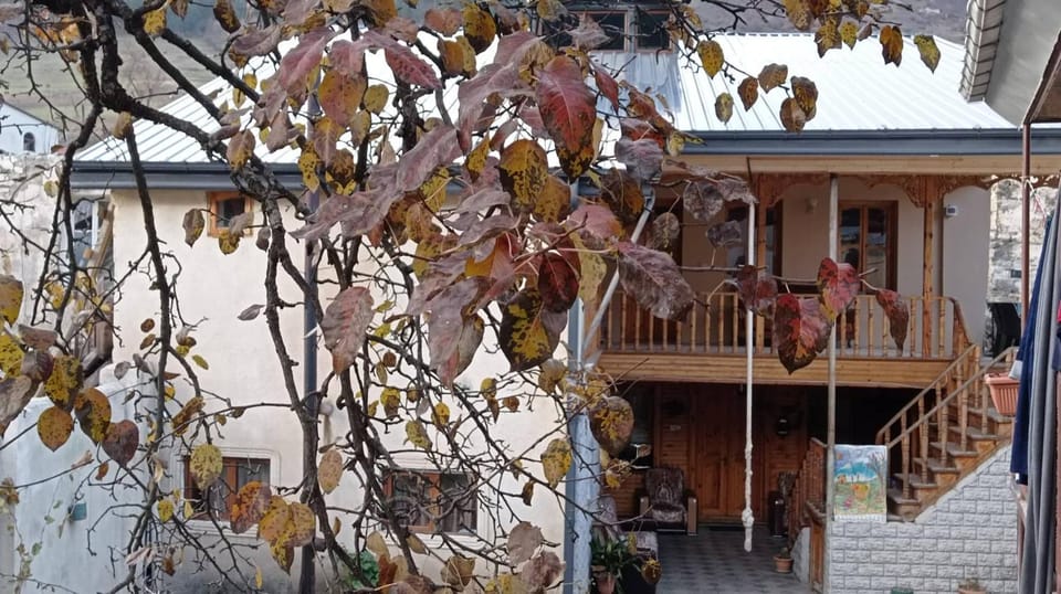 Sunny Bed and Breakfast in Georgia