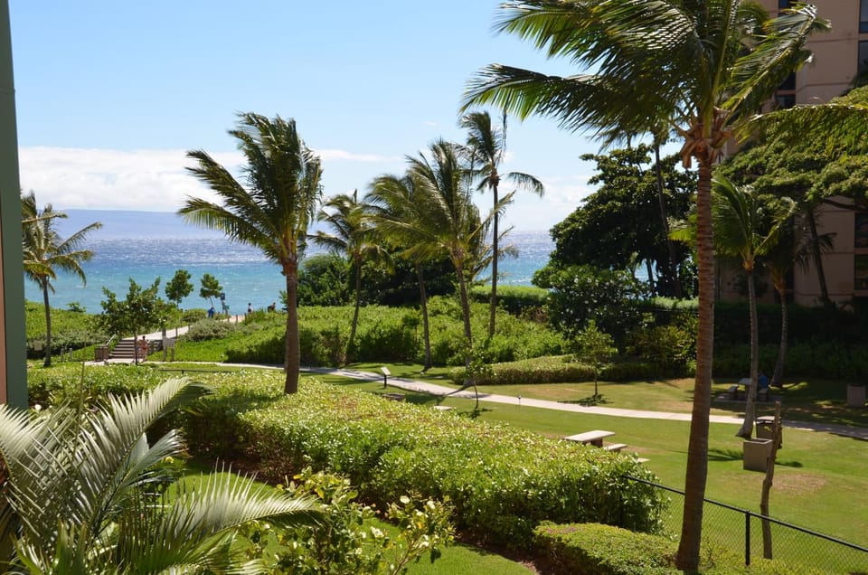 Sea view