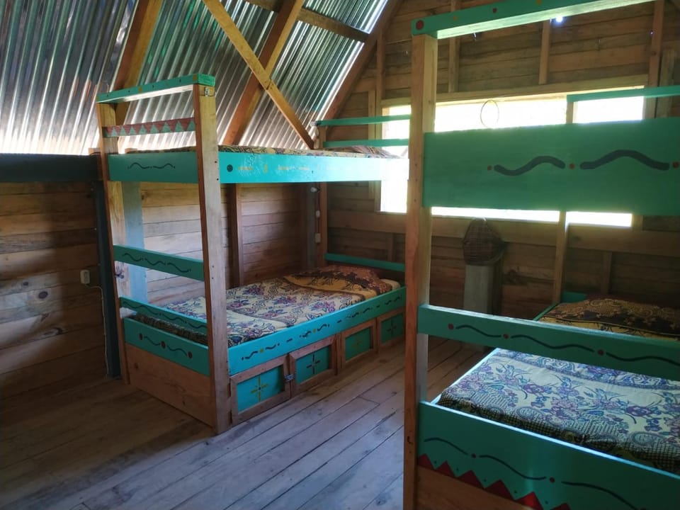 Bed, Photo of the whole room, bunk bed