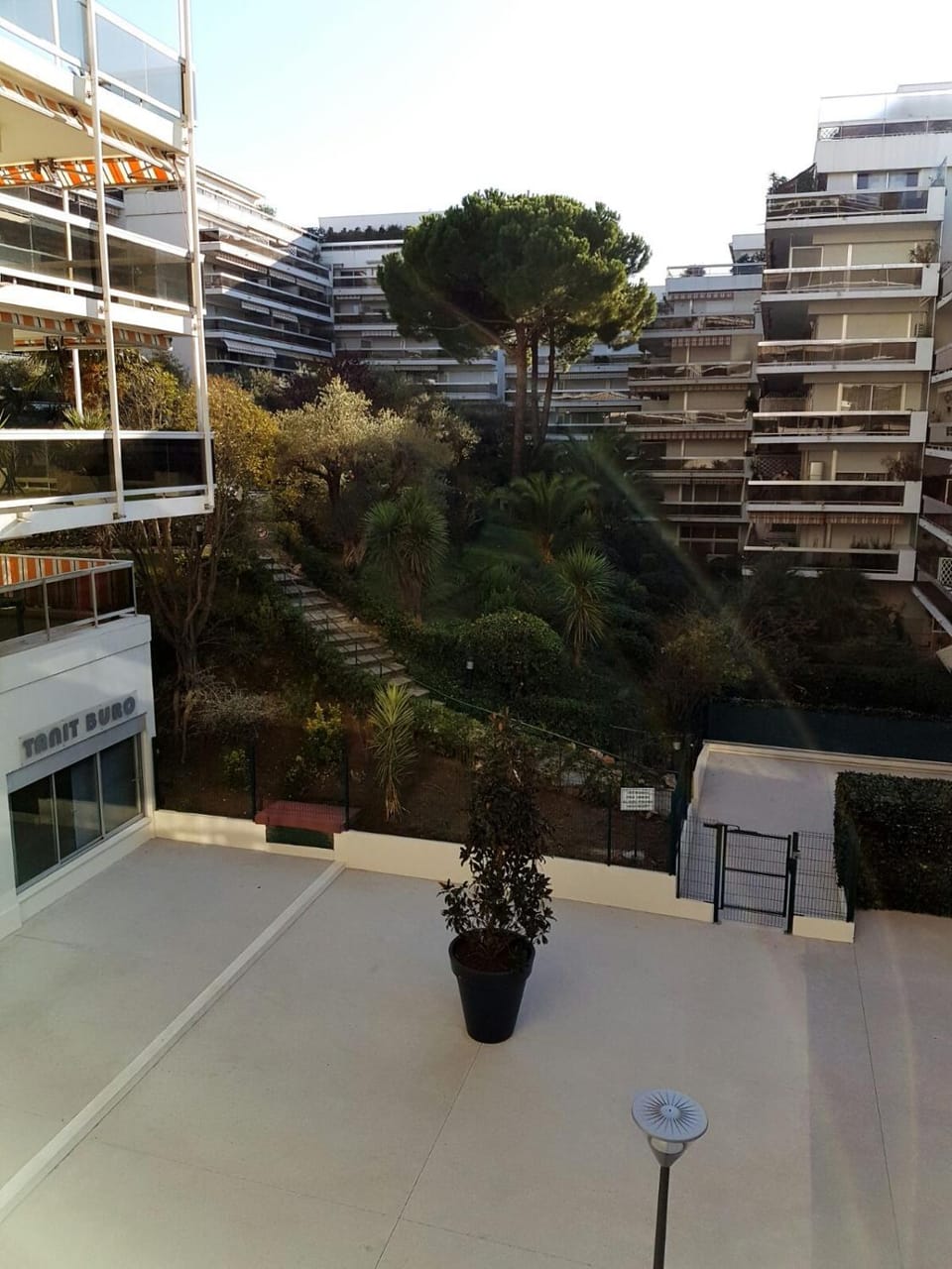 Garden view