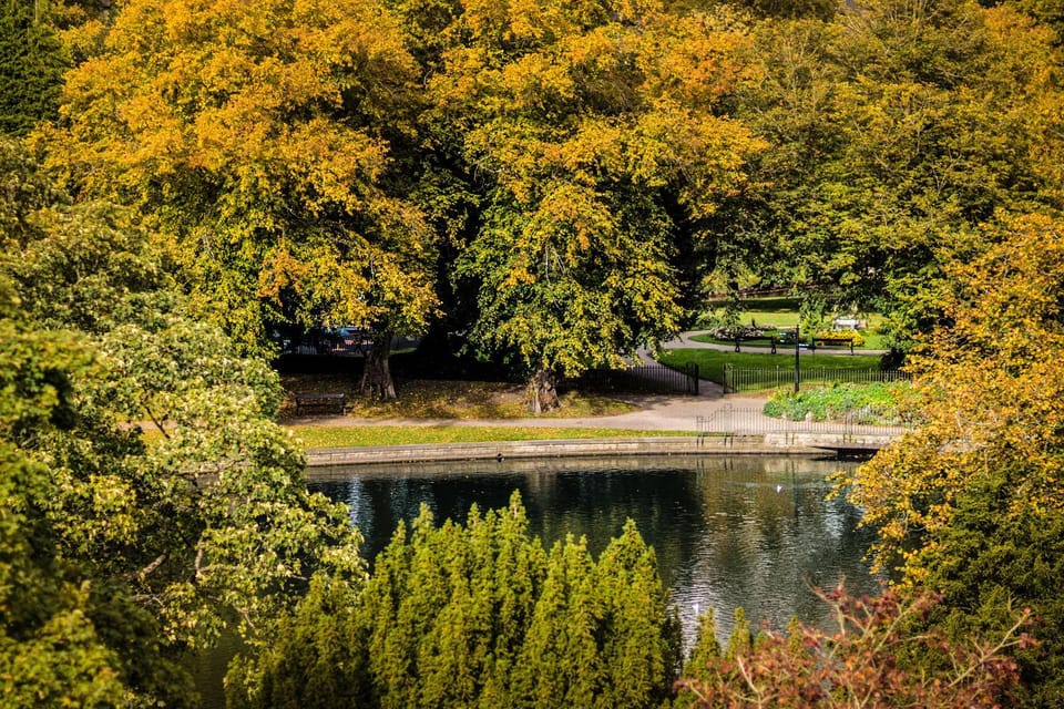 Natural landscape, River view