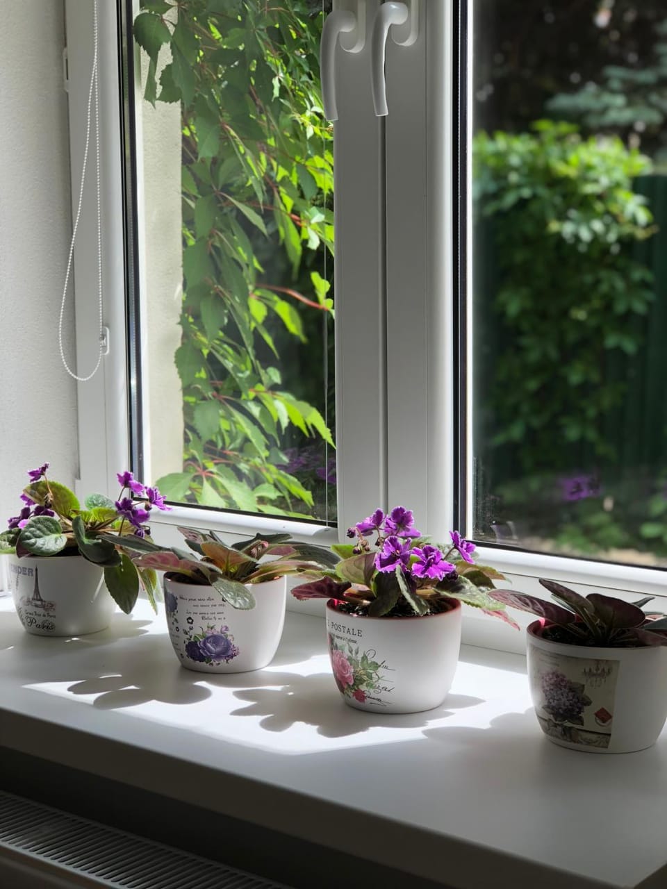 Garden, Garden view