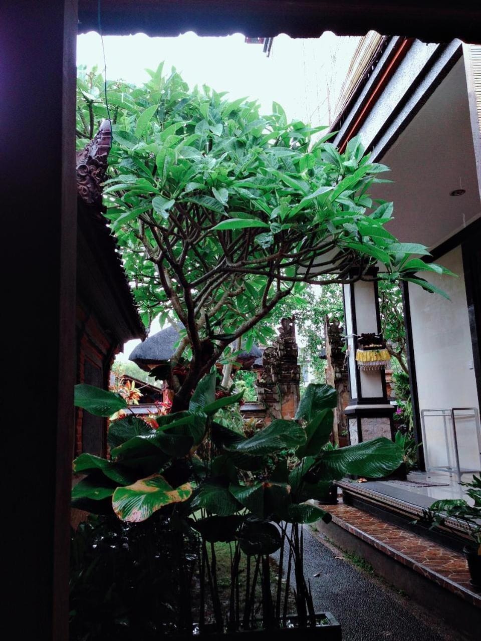 Jempiring Homestay Vacation rental in Ubud