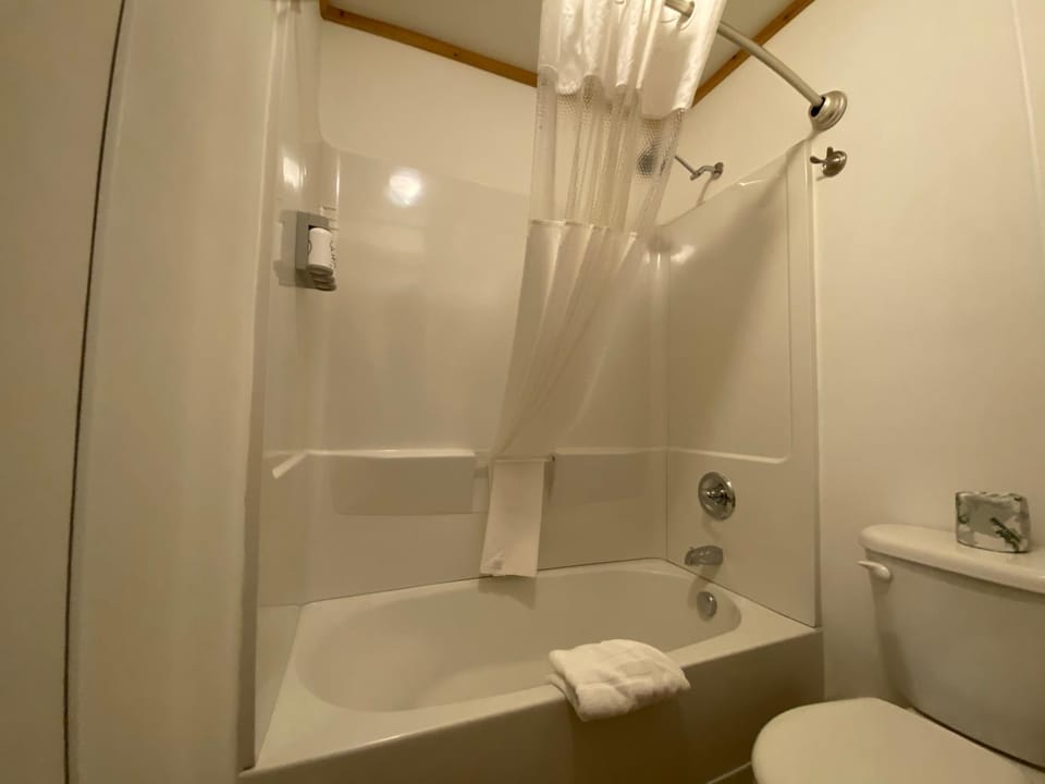 Shower, Toilet, Bathroom, Bath, hair dryier, towels