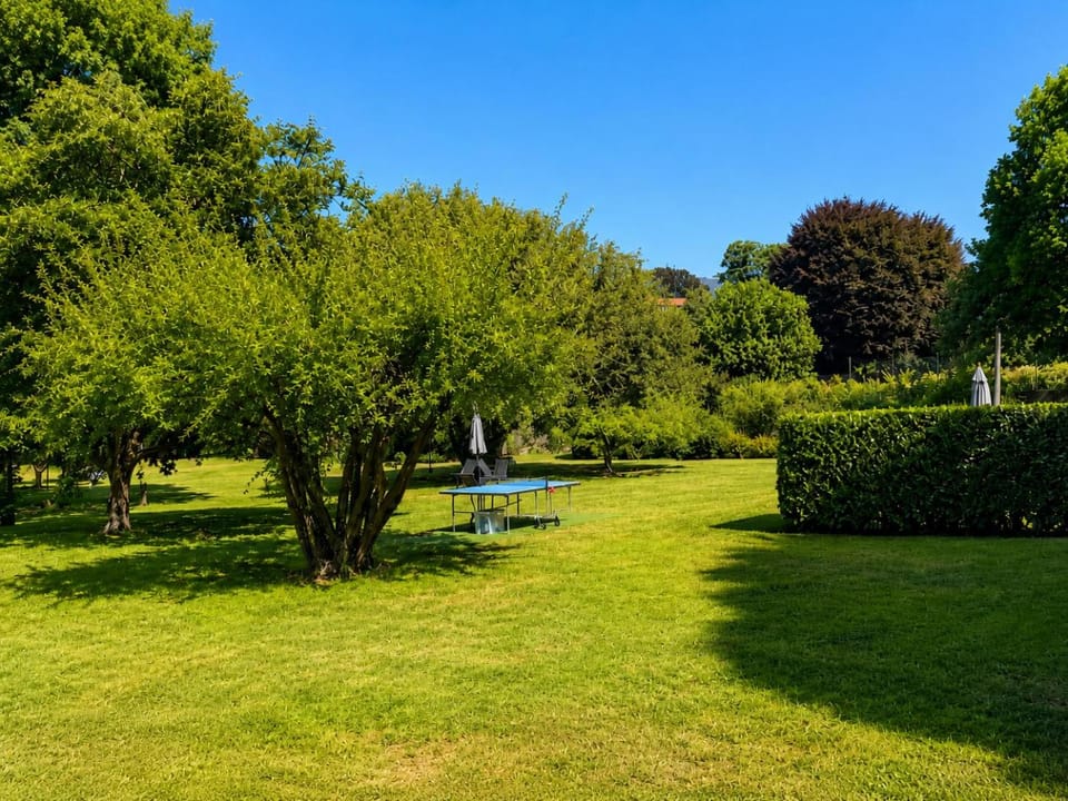 Garden, Table tennis