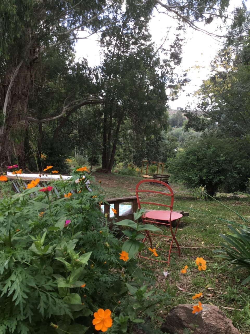 Entre Sierras B&B Bed and Breakfast in Tandil