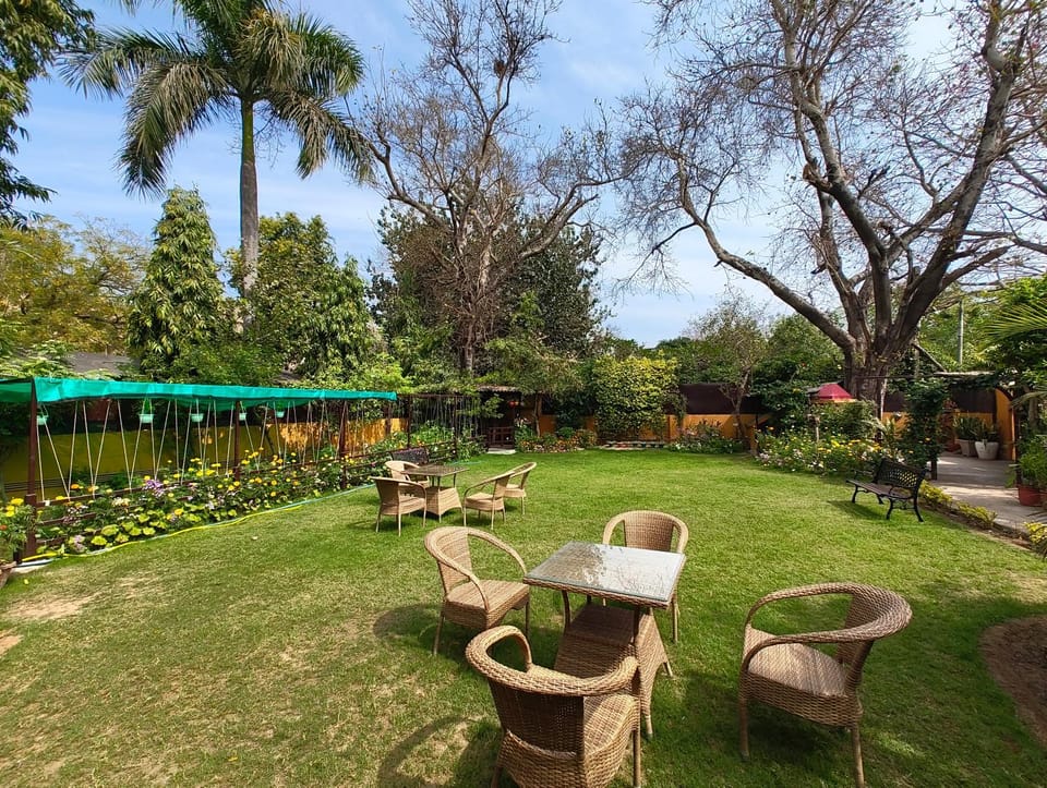 Garden