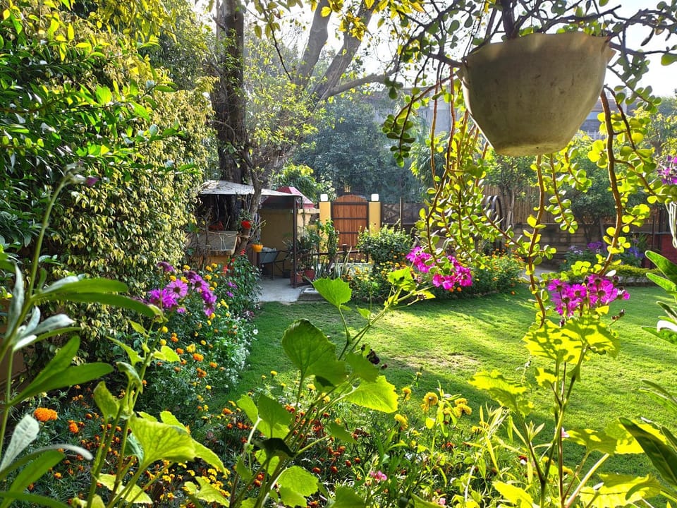 Garden