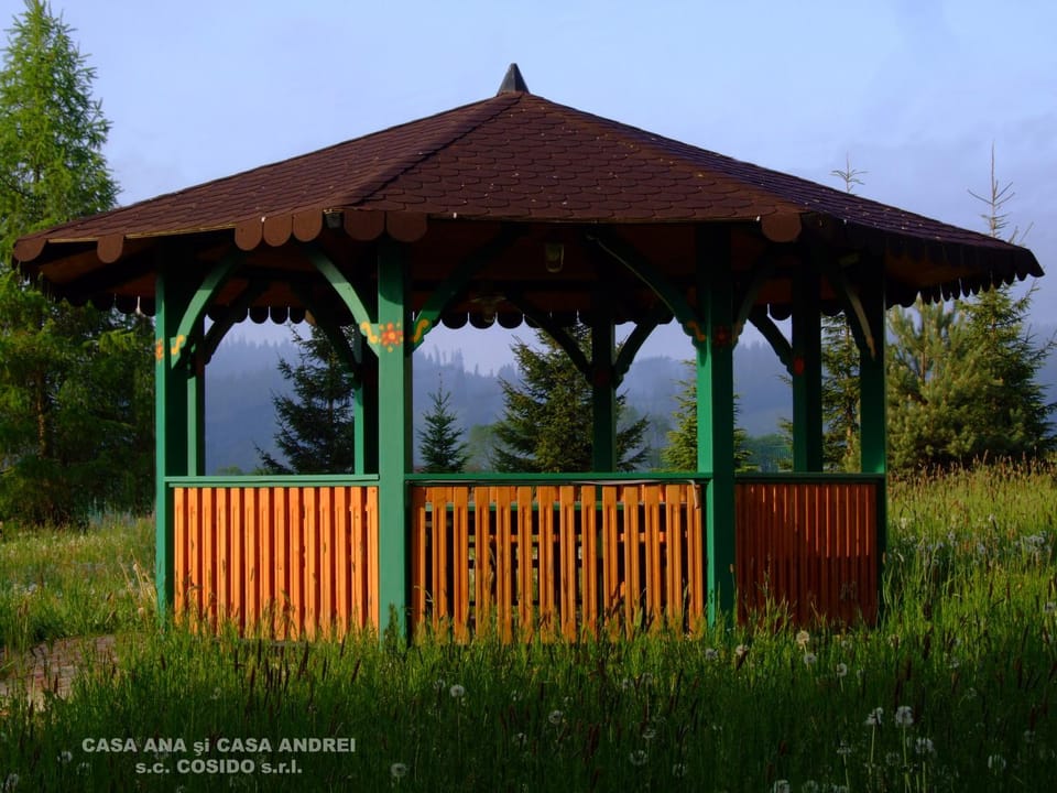 Casa Ana Vatra Dornei Villa in Romania