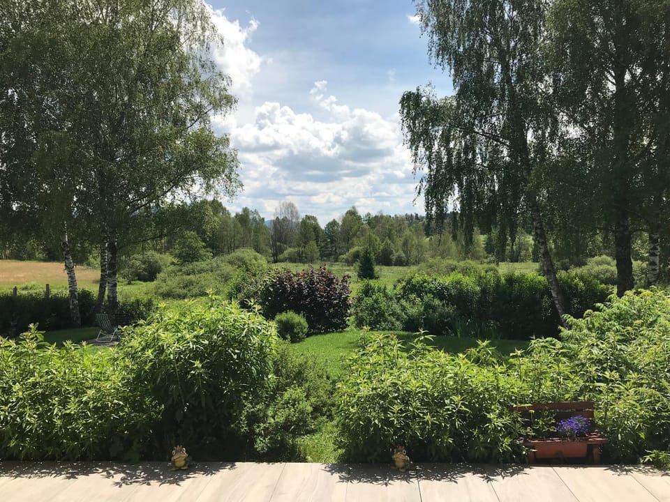 View (from property/room), View (from property/room)