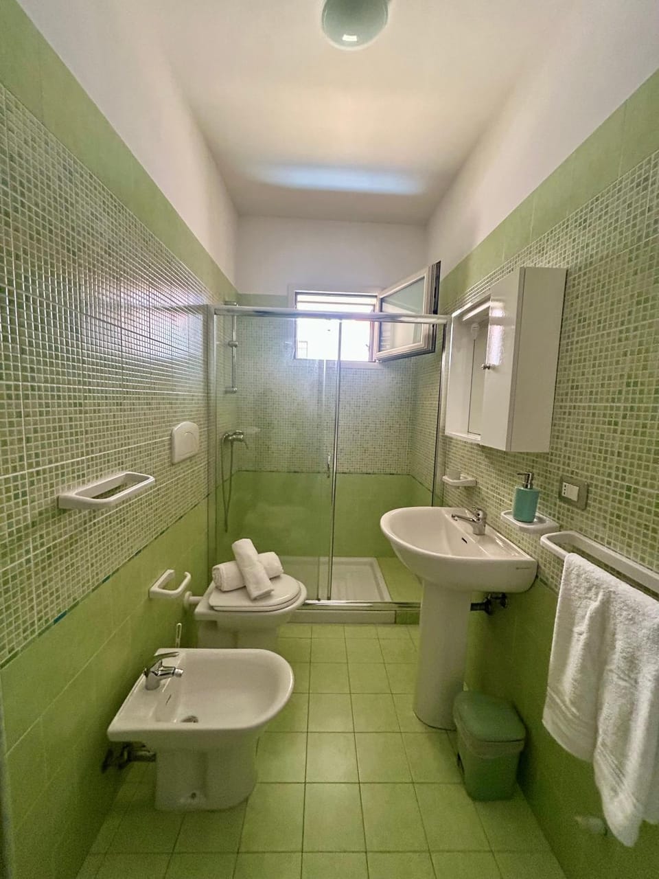 Shower, Toilet, Bathroom, bidet