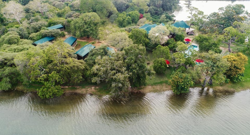 Lake view