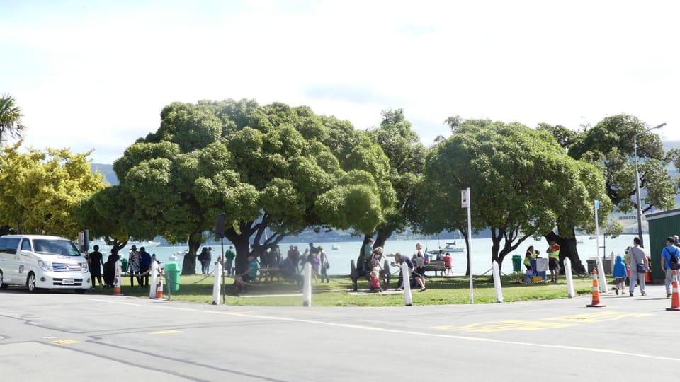 Garden view, Sea view, Street view