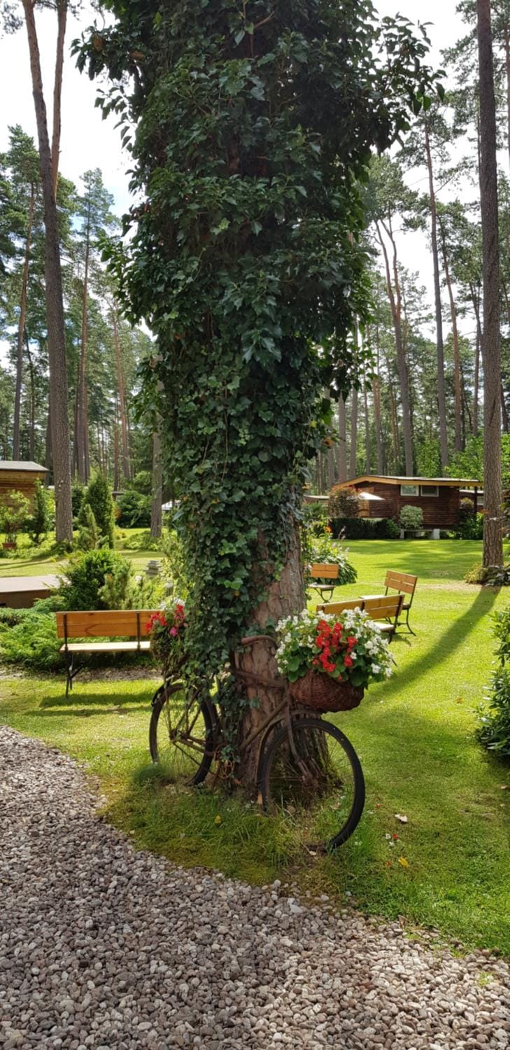 Natural landscape, Garden, Garden view