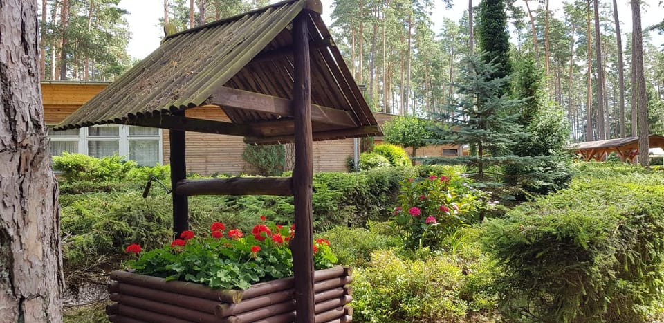 Day, Natural landscape, Garden, Garden view
