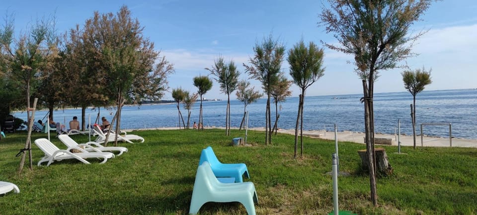 Neighbourhood, Beach