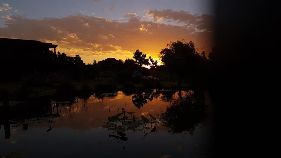 Natural landscape, Lake view, Sunset