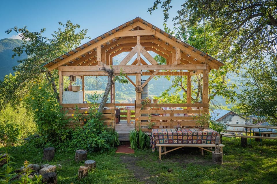 Patio, Garden, Dining area