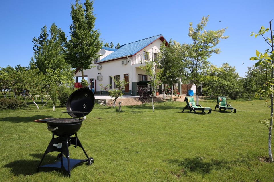 Pensiunea Palaghia Bed and Breakfast in Constanța County