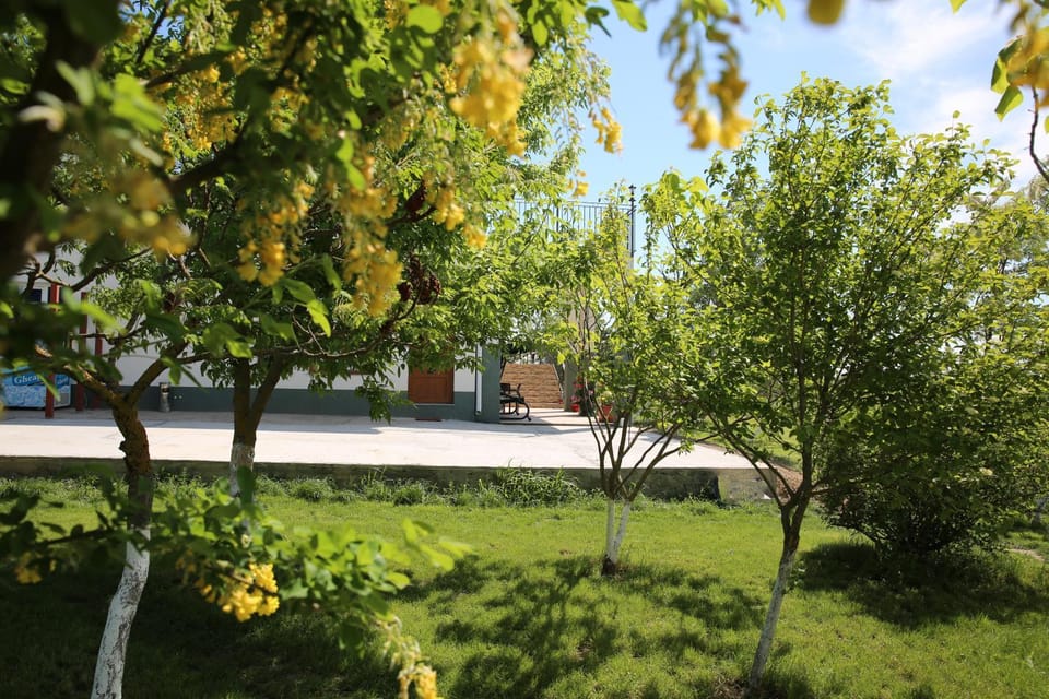 Pensiunea Palaghia Bed and Breakfast in Constanța County