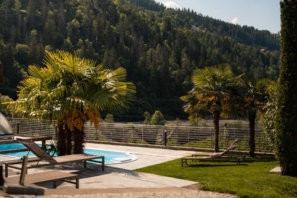 Natural landscape, Garden, View (from property/room), Swimming pool, sunbed