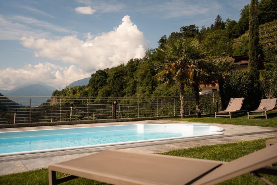 Natural landscape, Garden, View (from property/room), Swimming pool, sunbed