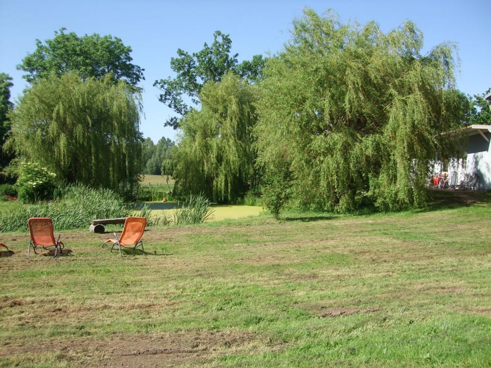 Natural landscape, Garden