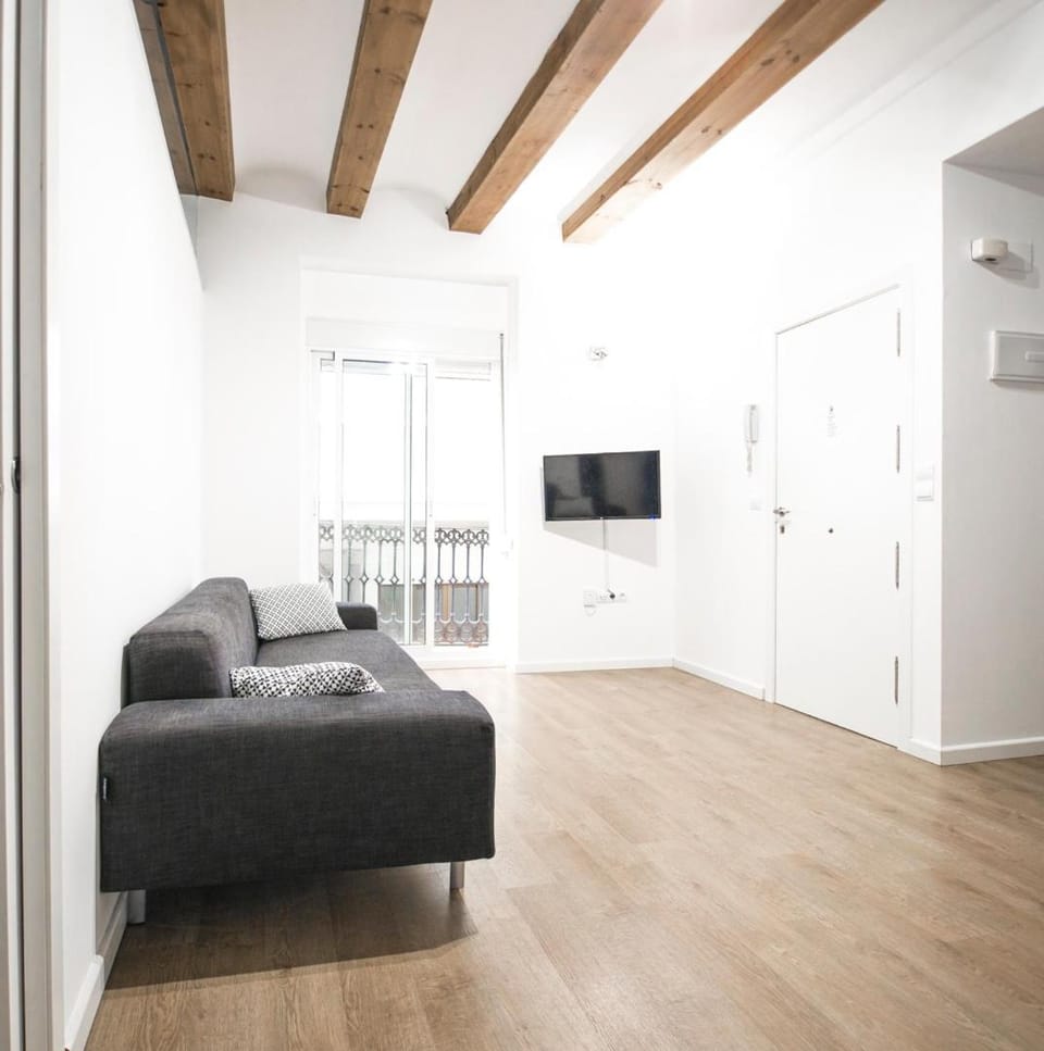 Ambrosio Flats Valencia - El Mercat Apartment in Valencia